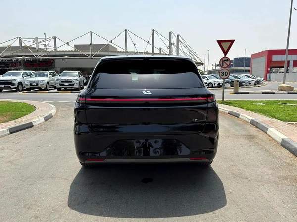 Li Auto L6 Other
