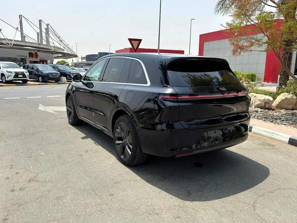 Li Auto L6 Other