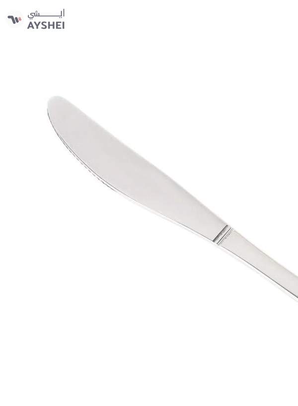 DELCASA 6-Pieces Stainless Steel Table Knife- DC2866 Dishwasher safe