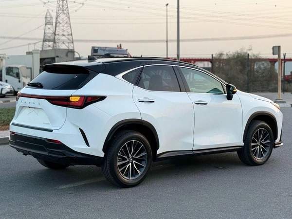 Lexus NX 250 Lexus NX 250 premium 2025