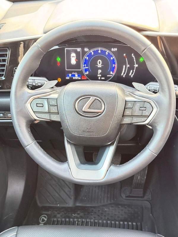Lexus NX 250 Lexus NX 250 premium 2025
