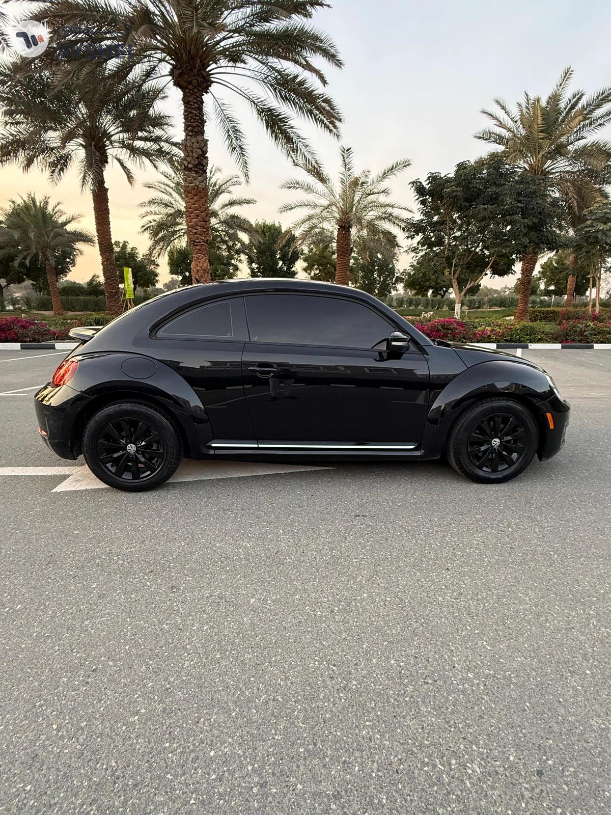 2019 volkswagen beetle Accidents free original paint full black economic car very good condition -9-9