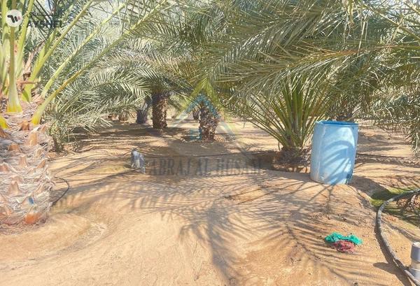 FARM FOR SALE IN AL AJBAN