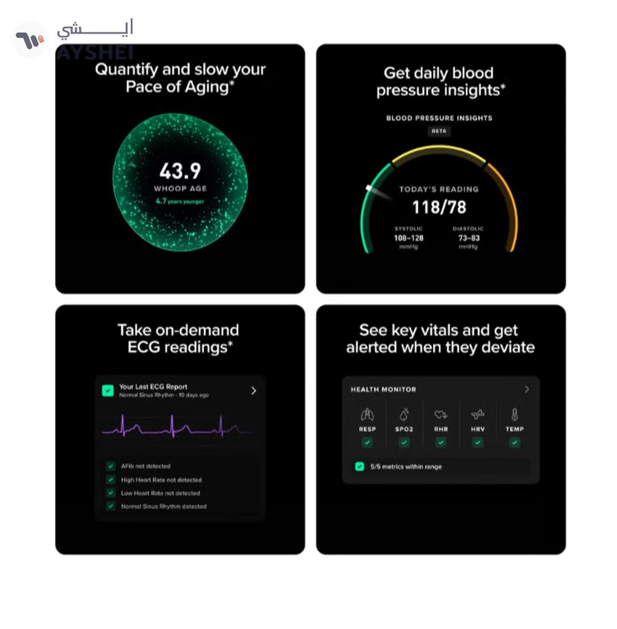 Whoop Life – 12-Month Membership – 5.0 – Health & Fitness Tracker – Blood Pressure Insights-1-1
