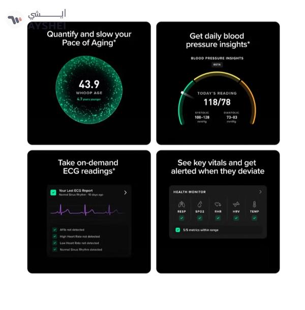 Whoop Life – 12-Month Membership – 5.0 – Health & Fitness Tracker – Blood Pressure Insights