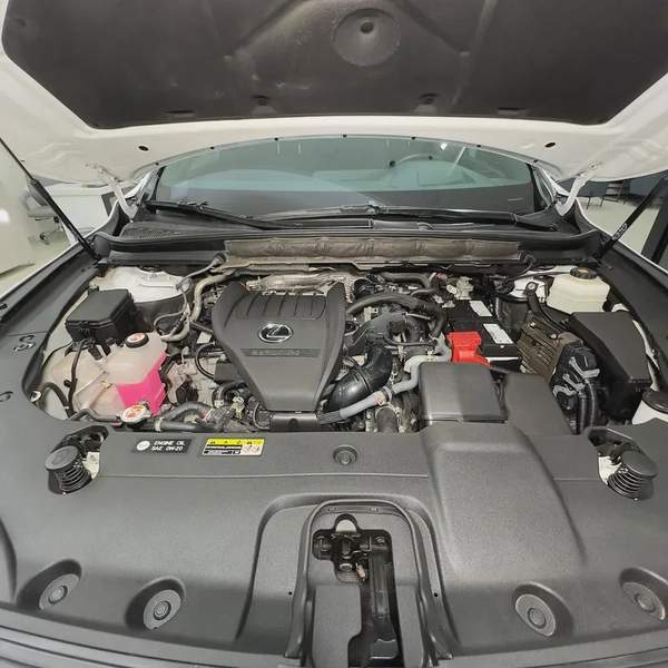 2024 Lexus Rx-350 F-Sport