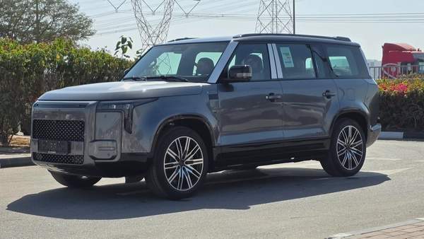 ROX ADAMAS (Grey Orange)