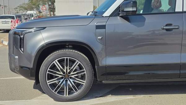 ROX ADAMAS (Grey Orange)