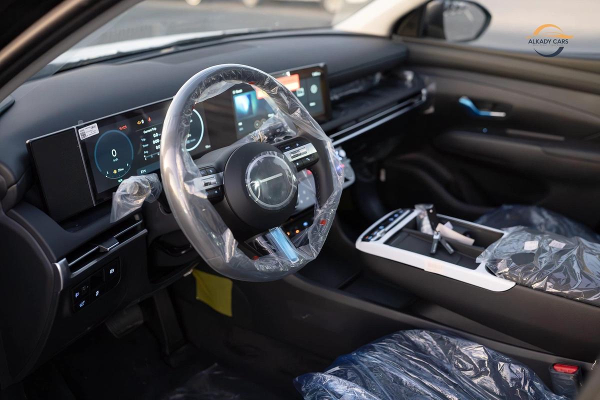 Hyundai Tucson Signature-19-19