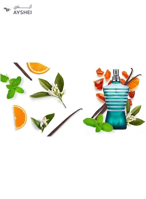 Jean Paul GAULTIER Le Male EDT 125ml