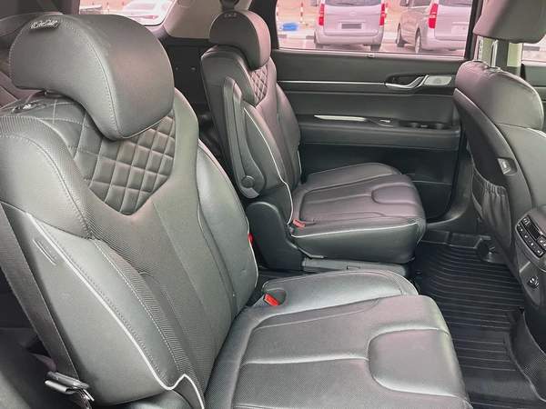 Hyundai PALASIDE limited