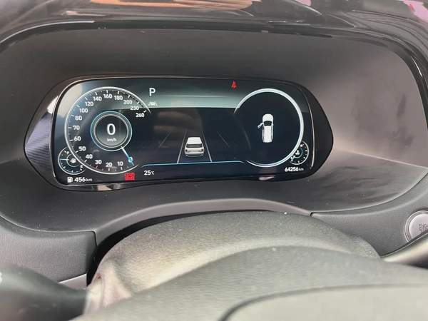 Hyundai PALASIDE limited