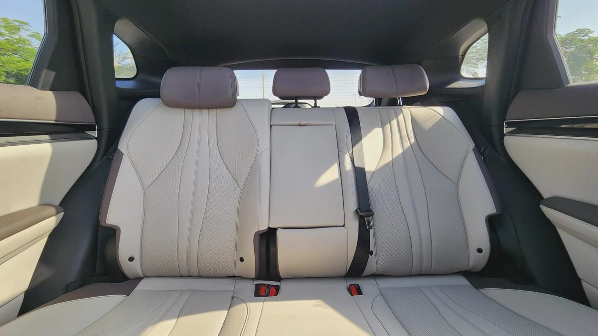 BYD Song Plus Champion (White Brown)-19-19