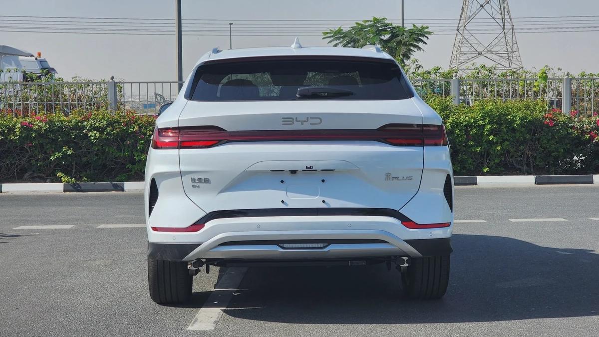 BYD Song Plus Champion (White Brown)-12-12