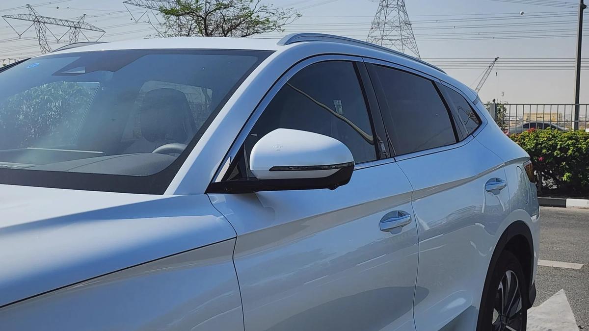 BYD Song Plus Champion (White Brown)-5-5