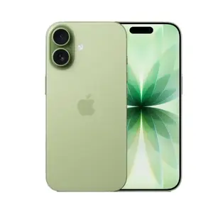 Apple iPhone 17 256GB Sage 5G (eSim only) With FaceTime - International Version