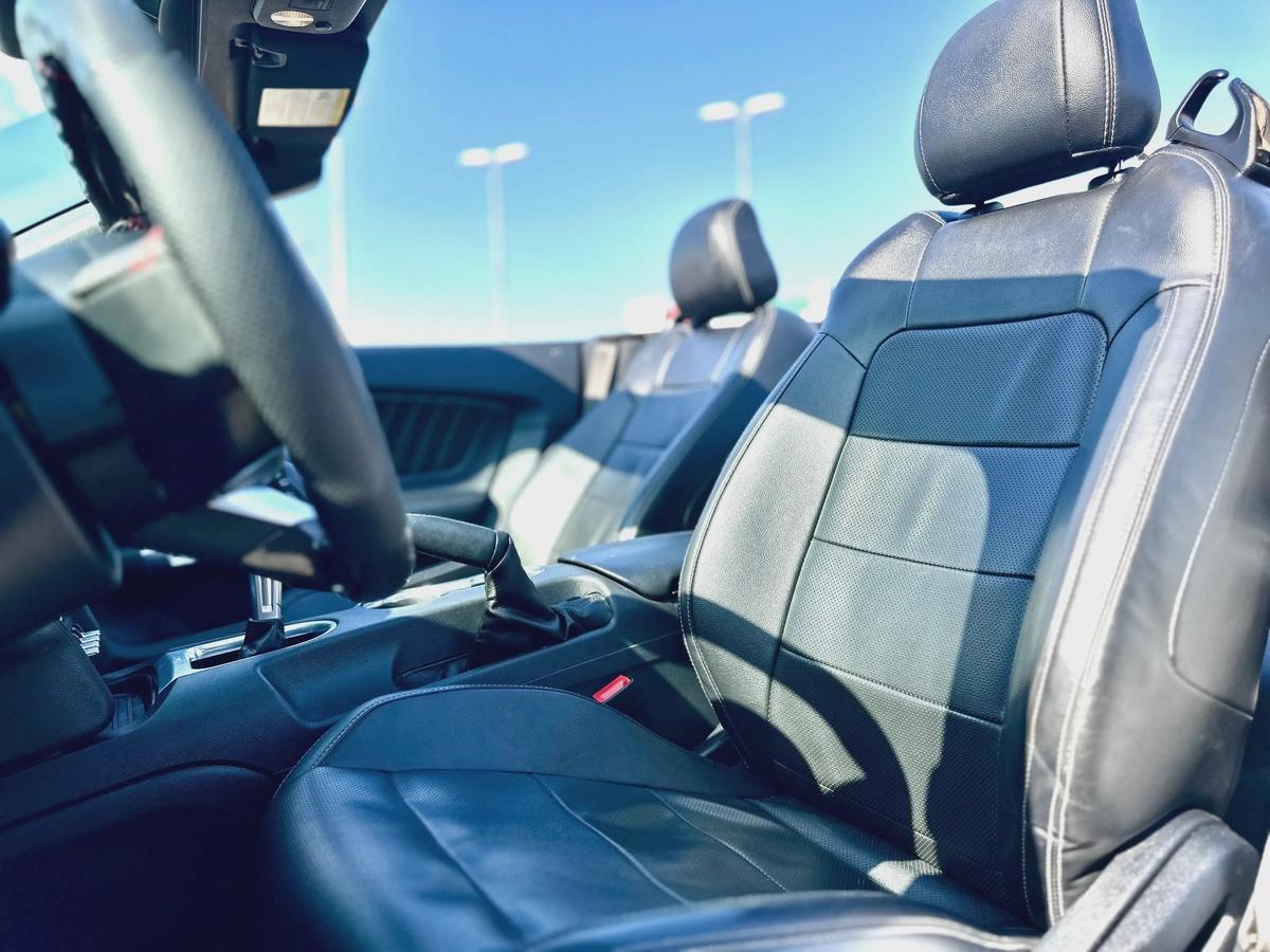 2022 Ford Mustang Ecoboost Convertible - 05660-7-7