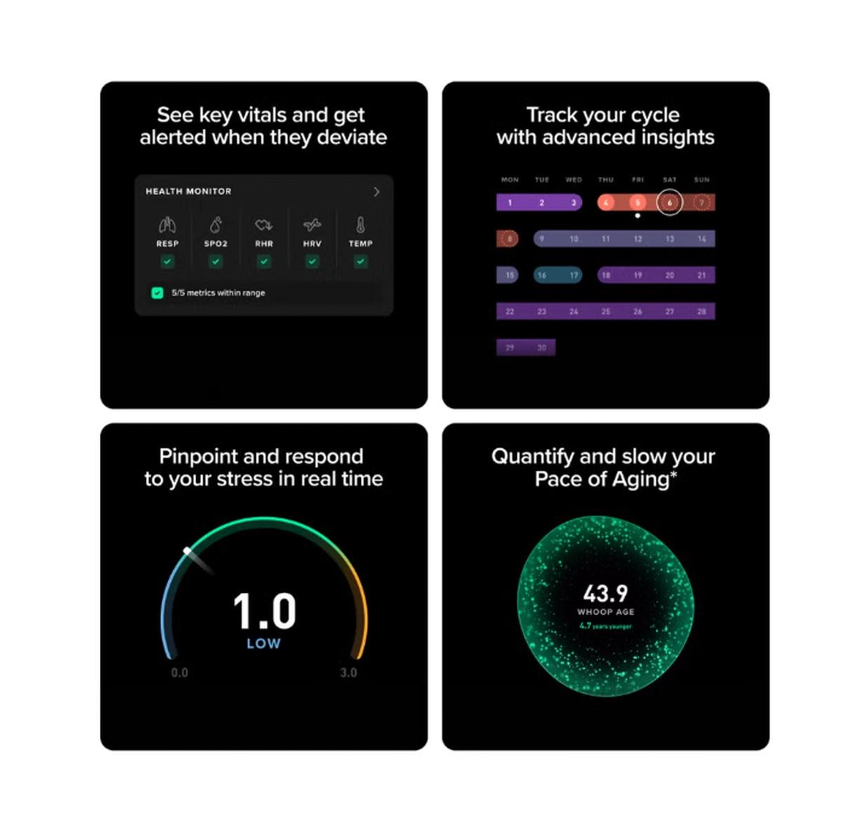 WHOOP Peak – 12-Month Membership – 5.0 Health and Fitness-2-2