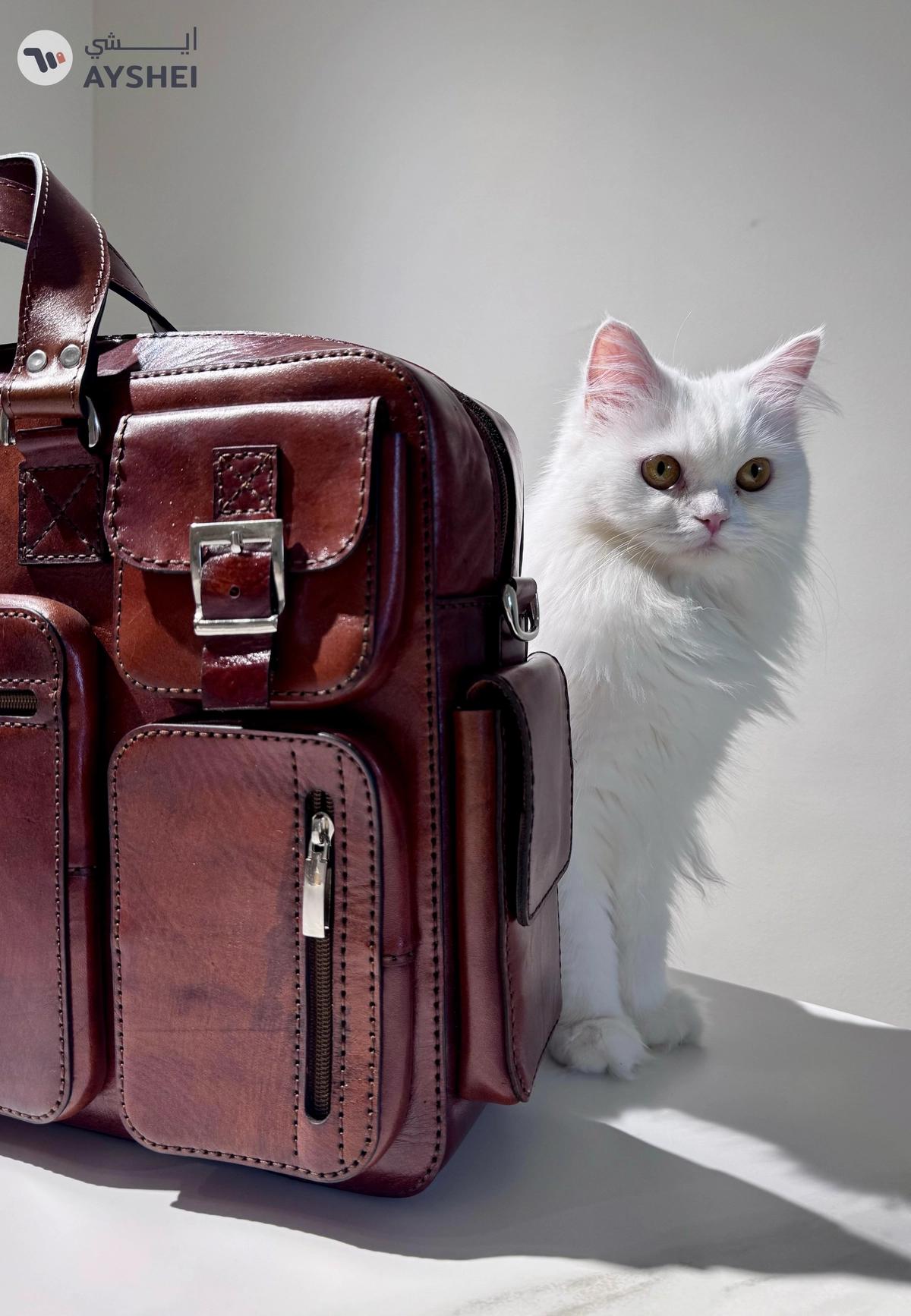 genuine leather hand bag-0-portrait