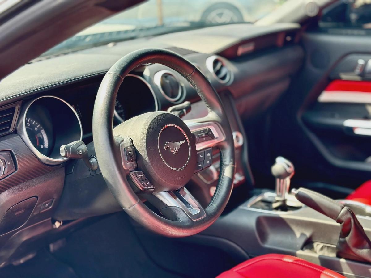 2022 Ford Mustang Ecoboost - # 34408-4-4