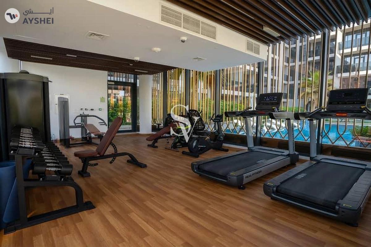 Chaimaa Avenue 2, JVC District 13, Jumeirah Village Circle (JVC), Dubai-16-16