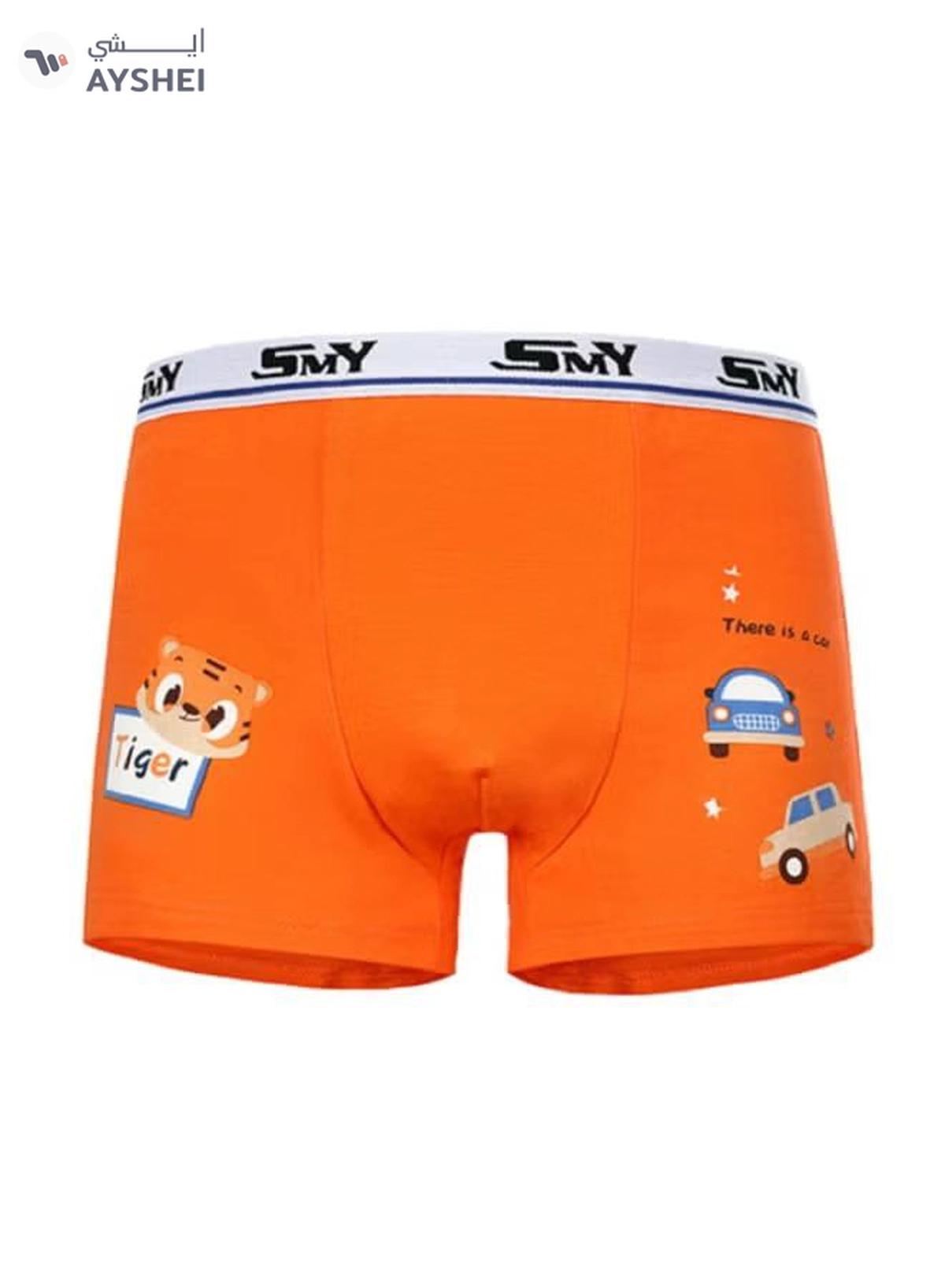 Babyqlo 4 Pack Tiger Printed Boxer Multicolour-4-4