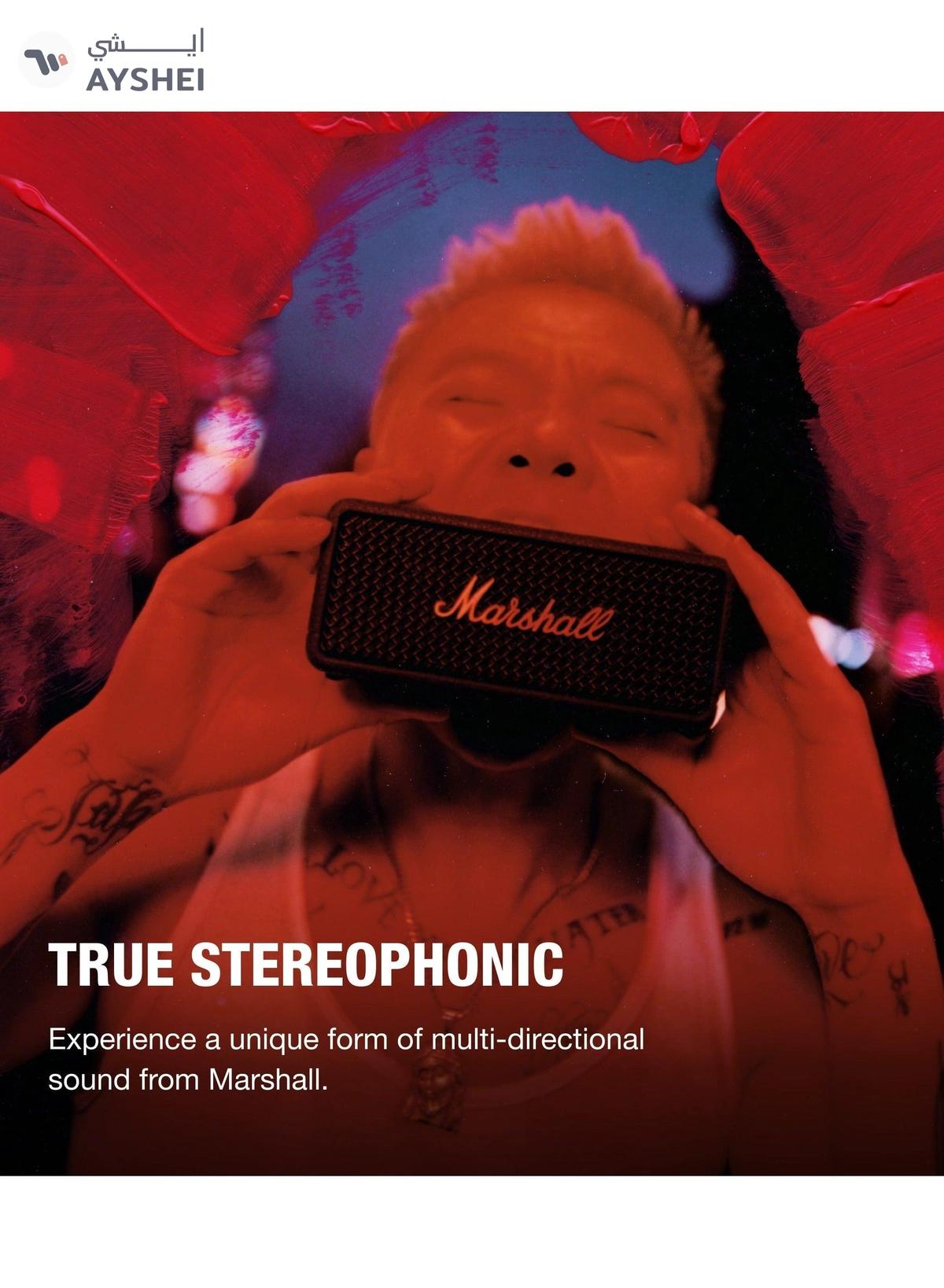 Marshall Emberton III Portable Bluetooth Speaker-3-3