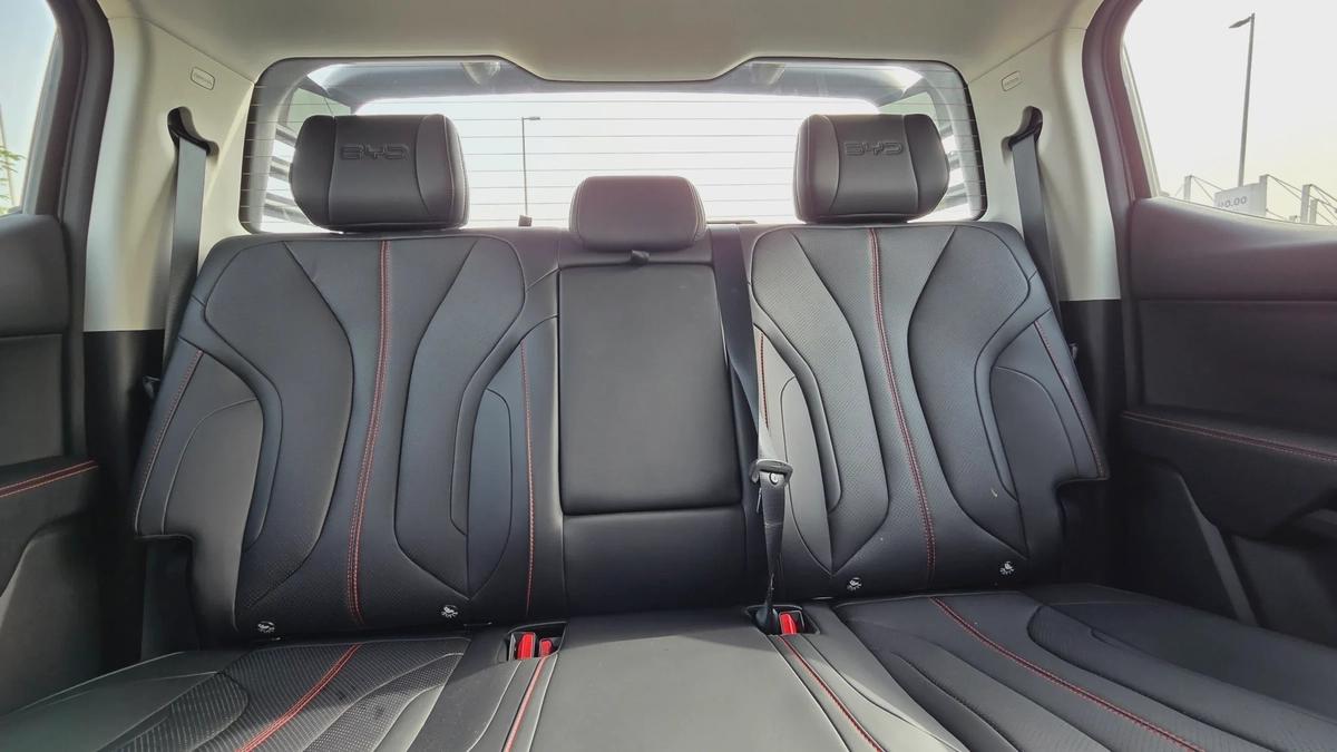 BYD SHARK 6 DMO (Black)-7-7