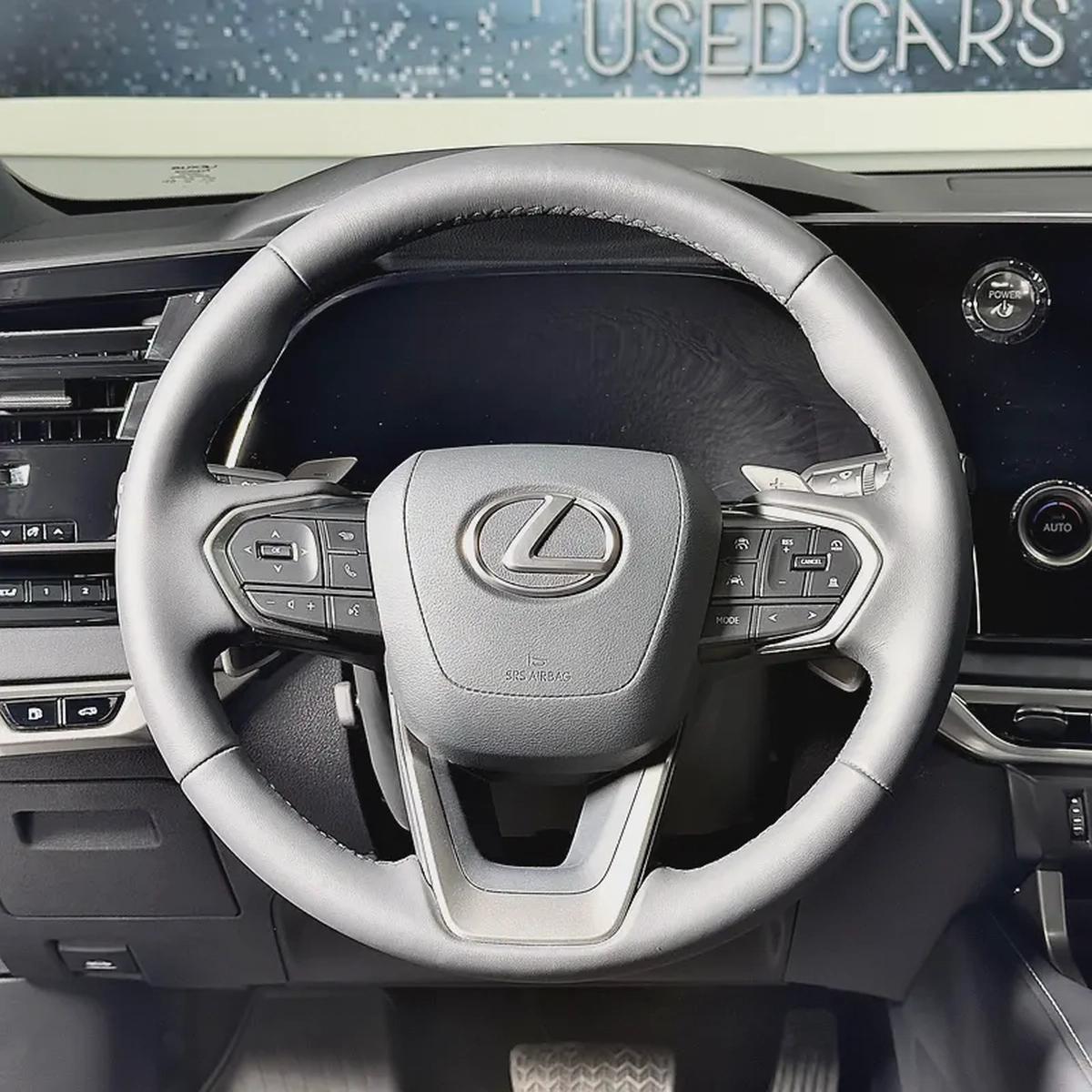 2025 Lexus Rx-350 Premium- hybrid-6-6