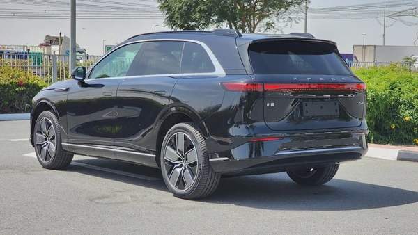 XPENG G9 (Black Tan)