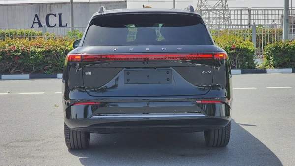 XPENG G9 (Black Tan)
