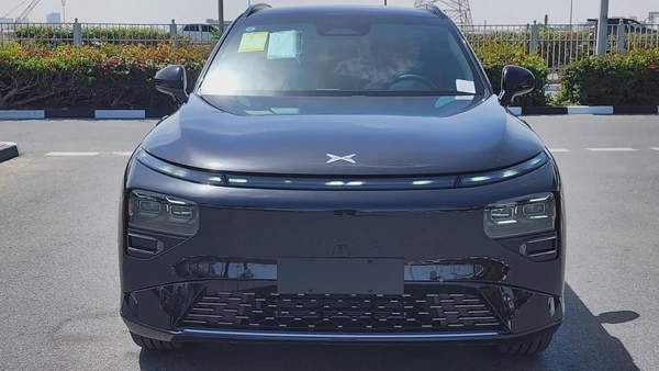 XPENG G9 (Black Tan)