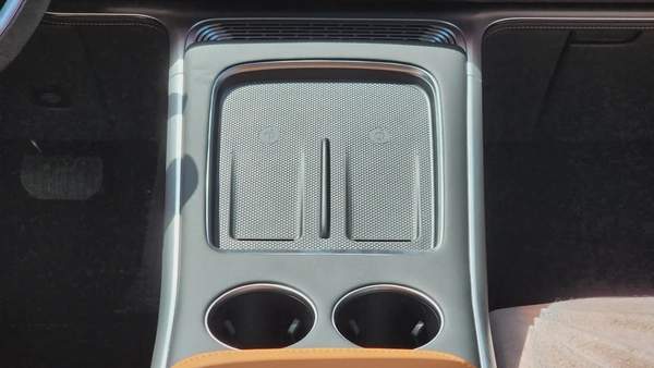 XPENG G9 (Black Tan)