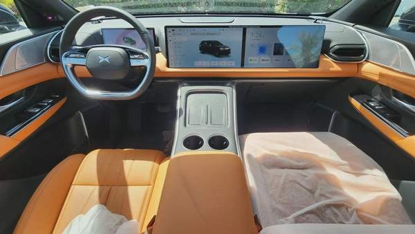 XPENG G9 (Black Tan)
