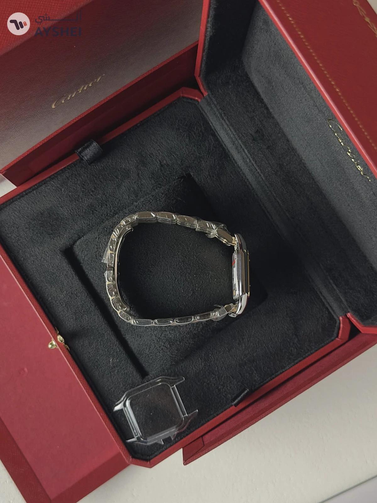 Cartier Panthere de Cartier Medium Steel & yellow gold-4-4