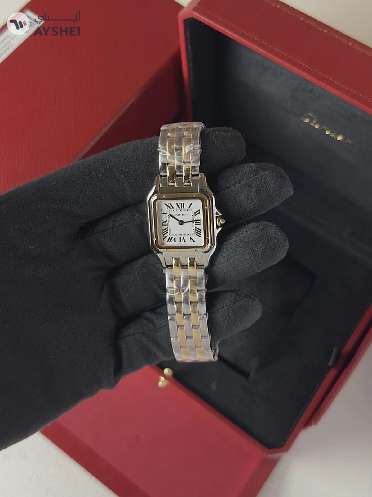 Cartier Panthere de Cartier Medium Steel & yellow gold-1-1