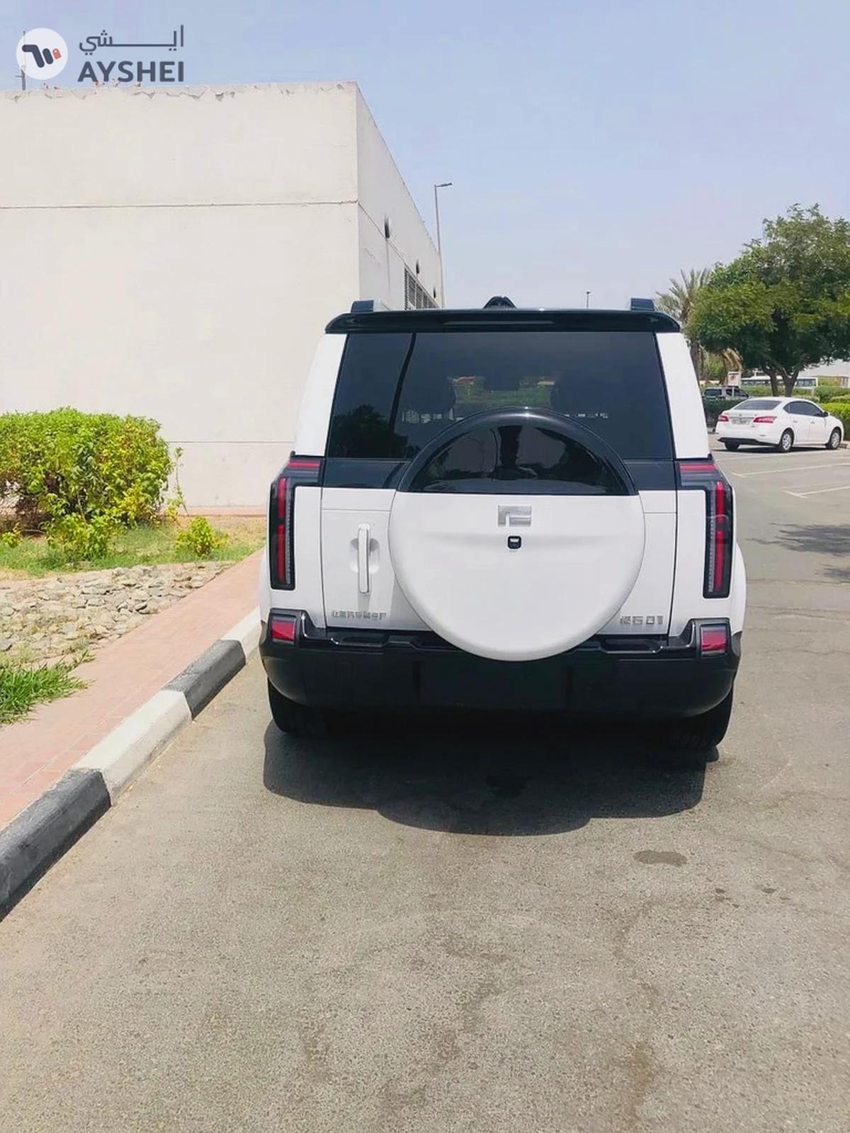 Rox New , 2025 , warranty 10 years , service contract 100,000km-3-3