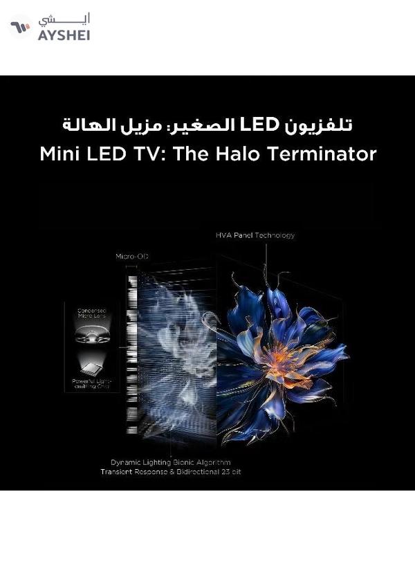 TCL Television 75 Inch Smart TV 4K QD-Mini LED Colorful Quantum Crystal HDR 10+ Gaming Google TV, 144Hz Native Refresh Rate, ONKYO 2.1 Hi-Fi, Dolby Atmos, AI Mode, (2025 Model) 75C6K Black