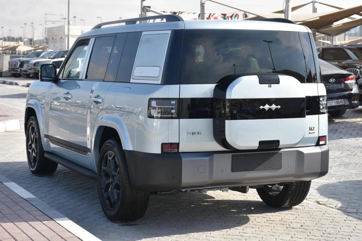 BYD LEOPARD 7 2025 | SILVER LIKE-2-2