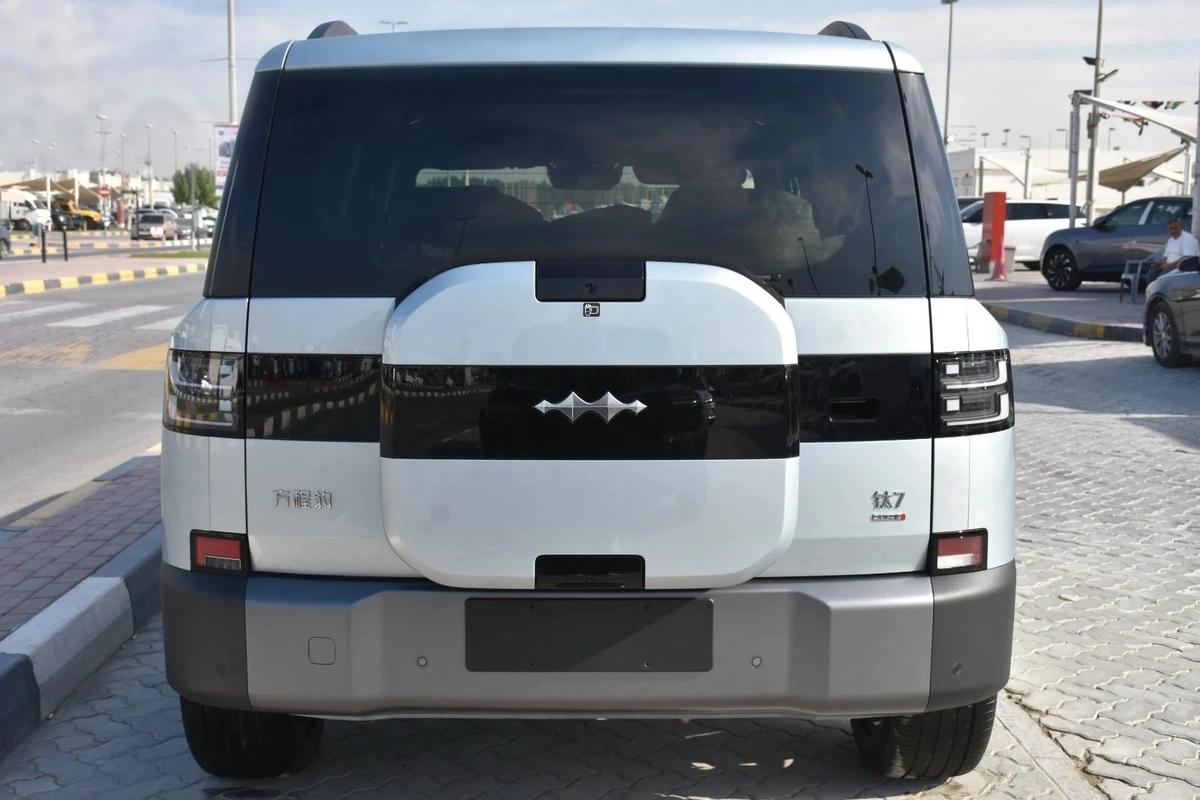 BYD LEOPARD 7 2025 | SILVER LIKE-3-3