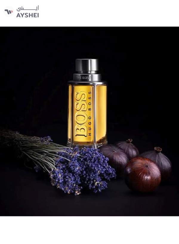 Boss The Scent EDT For Men 100ml