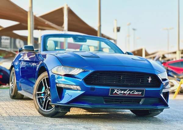 2022 Ford Mustang Ecoboost Convertible - # 44894