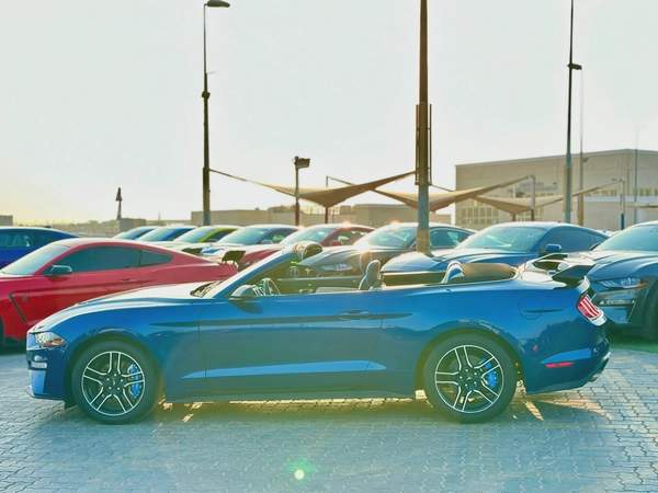 2022 Ford Mustang Ecoboost Convertible - # 44894