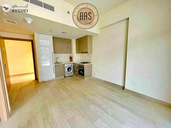 1BHK with Huge Terrace • Tenanted • High ROI • Asking 1.5M