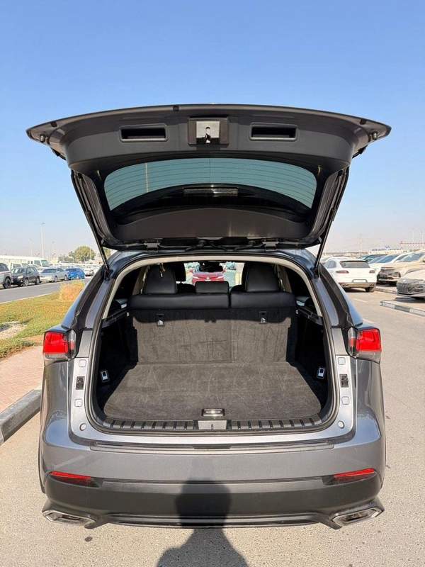 Lexus NX300 Lexus NX 4X4