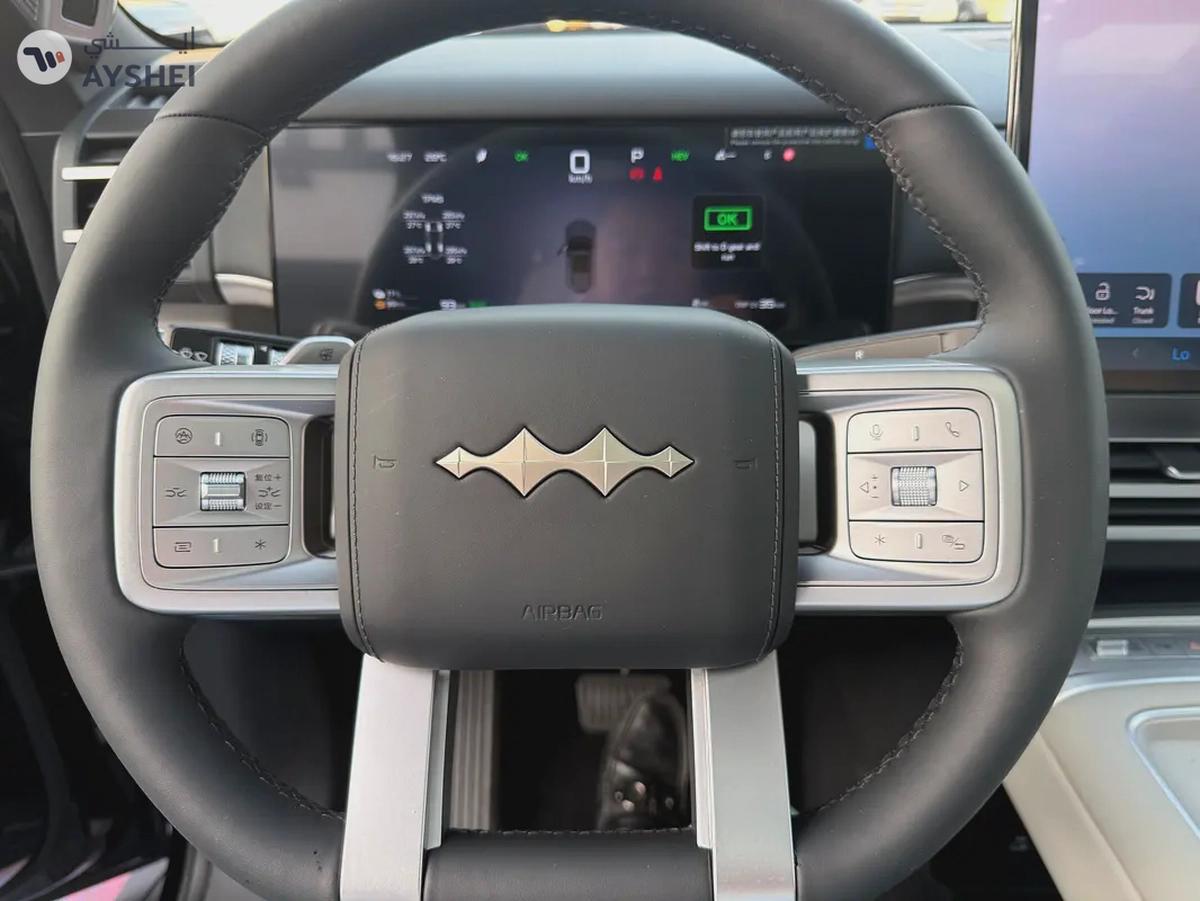 BYD Titanium 7 ultra (Export / Can Register in UAE)-6-6