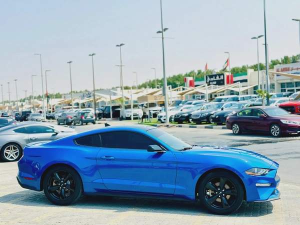 2021 Ford Mustang Ecoboost - # 34917