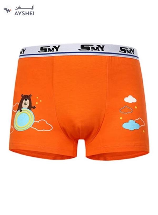 Babyqlo 4 Pack Happy Bear Printed Boxer Multicolour