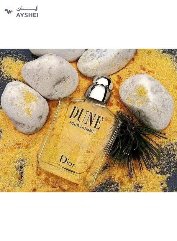 Dior Dune Pour Homme EDT 100ml