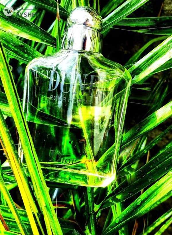 Dior Dune Pour Homme EDT 100ml